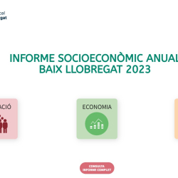 Informe anual socioeconòmic